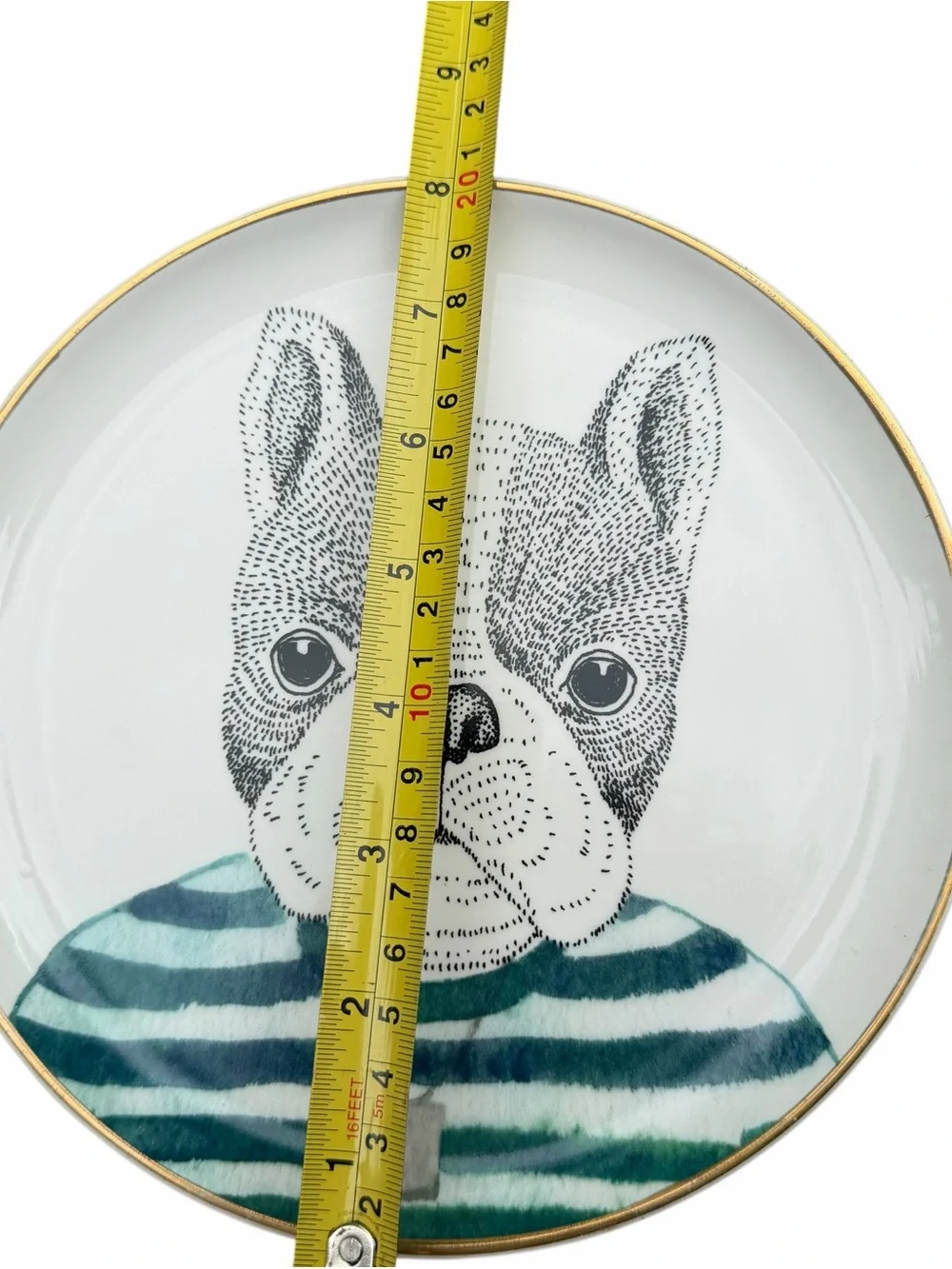 Pier 1 Imports Animal Portrait Plates Set of 3 Dog Owl Giraffe Gold Rim 8”